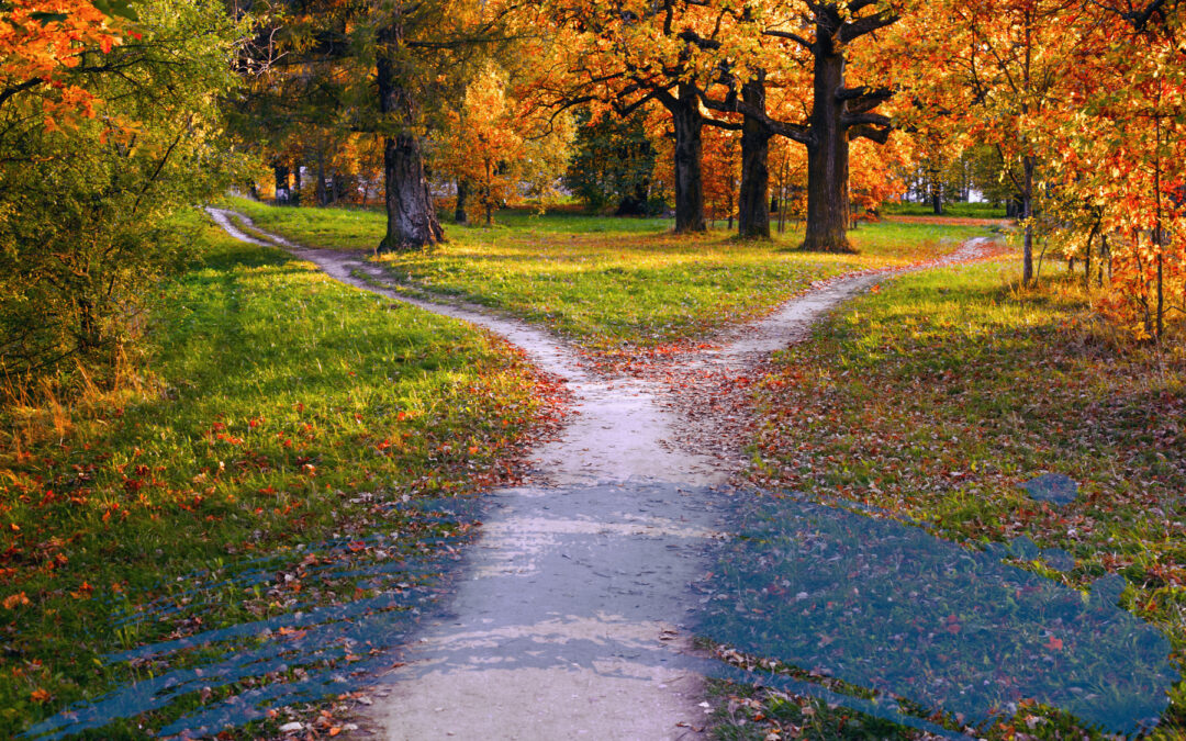 An Online Business Plan for Conscious Professionals