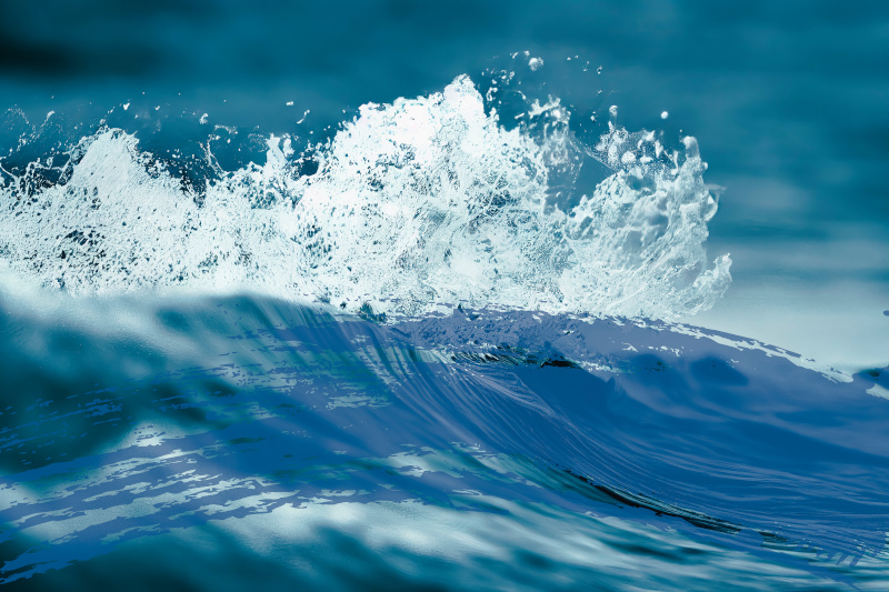 Should I start a membership subscription site?